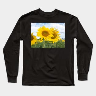 Field of yellow sunflowers Long Sleeve T-Shirt